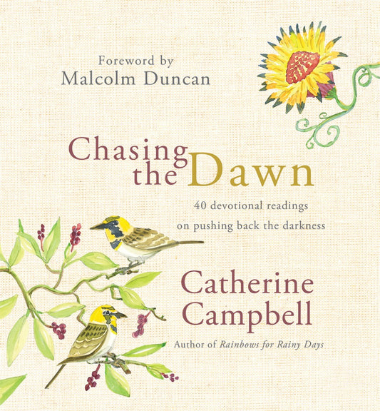 Chasing the Dawn - Re-vived