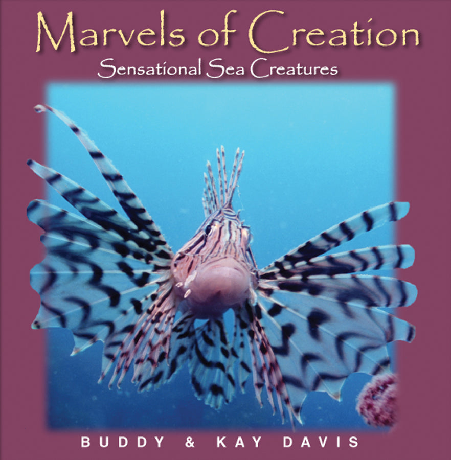Marvels Of Creation: Sensational Sea Creatures - Re-vived