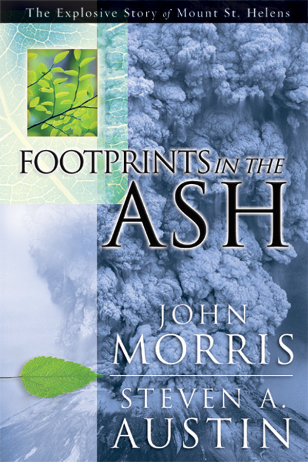 Footprints In The Ash - Re-vived
