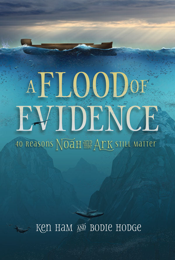 Flood Of Evidence,A - Re-vived