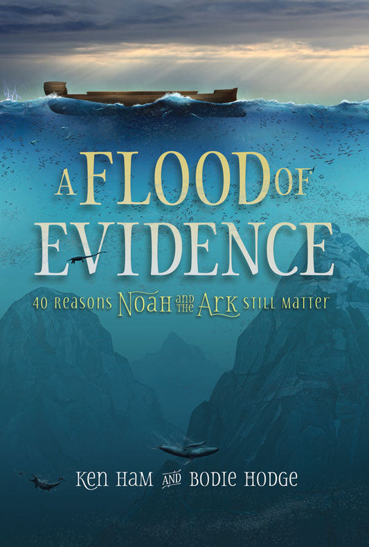 Flood Of Evidence,A - Re-vived