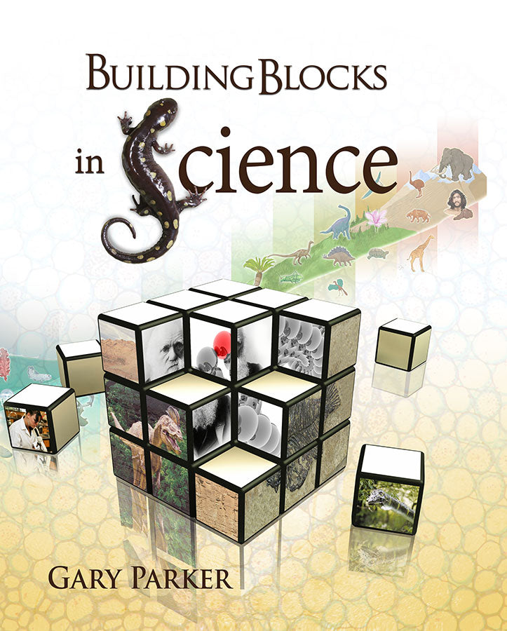 Building Blocks In Science - Re-vived