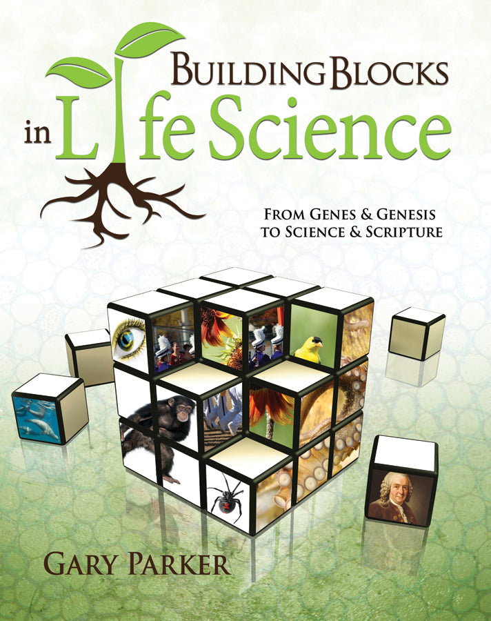 Building Blocks In Life Science - Re-vived