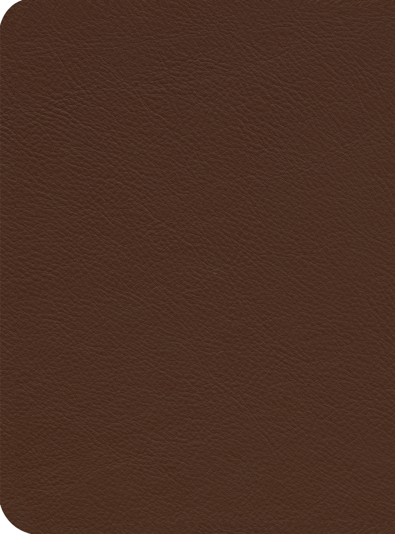ESV Reformation Study Bible, Brown - Re-vived