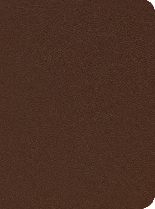 ESV Reformation Study Bible, Brown - Re-vived