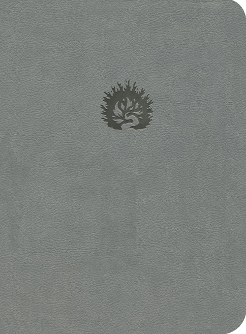 ESV Reformation Study Bible LL Light Grey - Re-vived