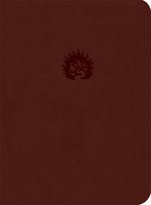 ESV Reformation Study Bible LL Brick Red - Re-vived