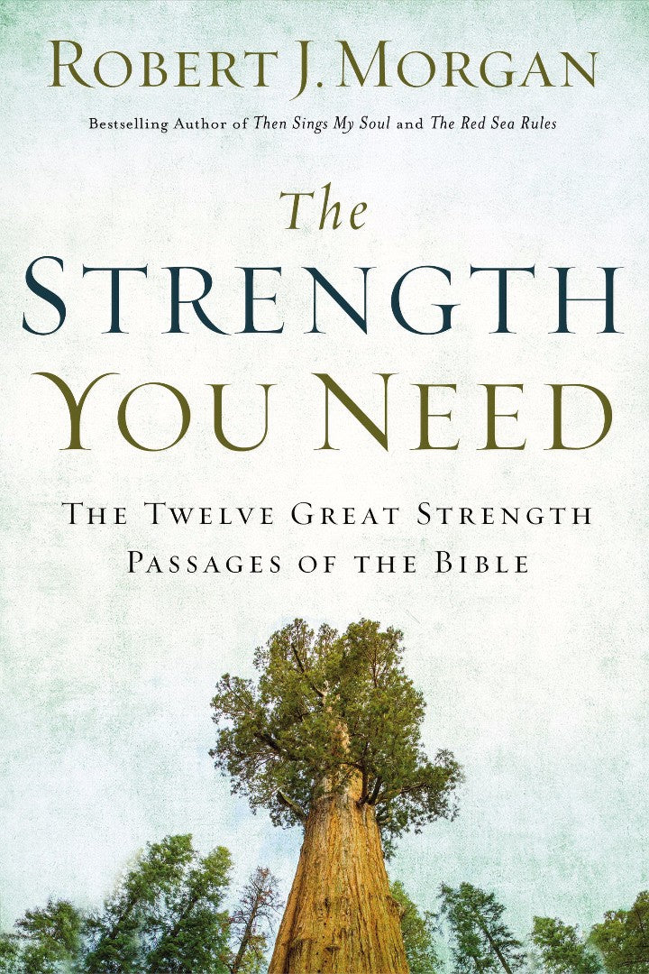 The Strength You Need - Re-vived