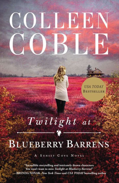 Twilight at Blueberry Barrens - Re-vived