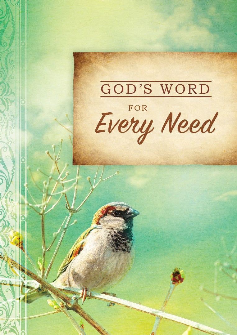 God's Word for Every Need - Re-vived
