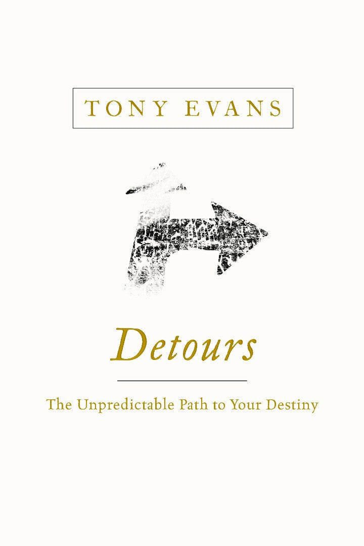 Detours: The Unpredictable Path To Your Destiny - Re-vived