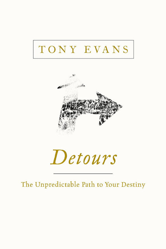 Detours: The Unpredictable Path To Your Destiny - Re-vived