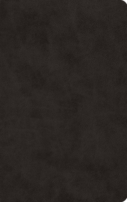 ESV Large Print Value Thinline Bible Trutone, Black