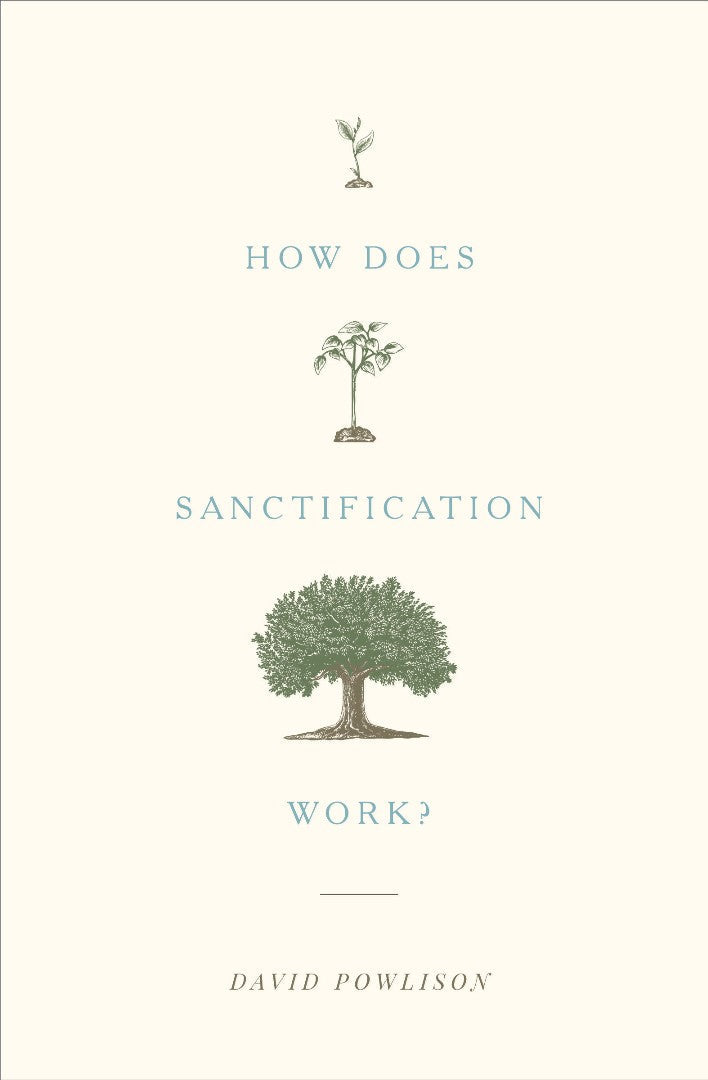 How Does Sanctification Work? - Re-vived