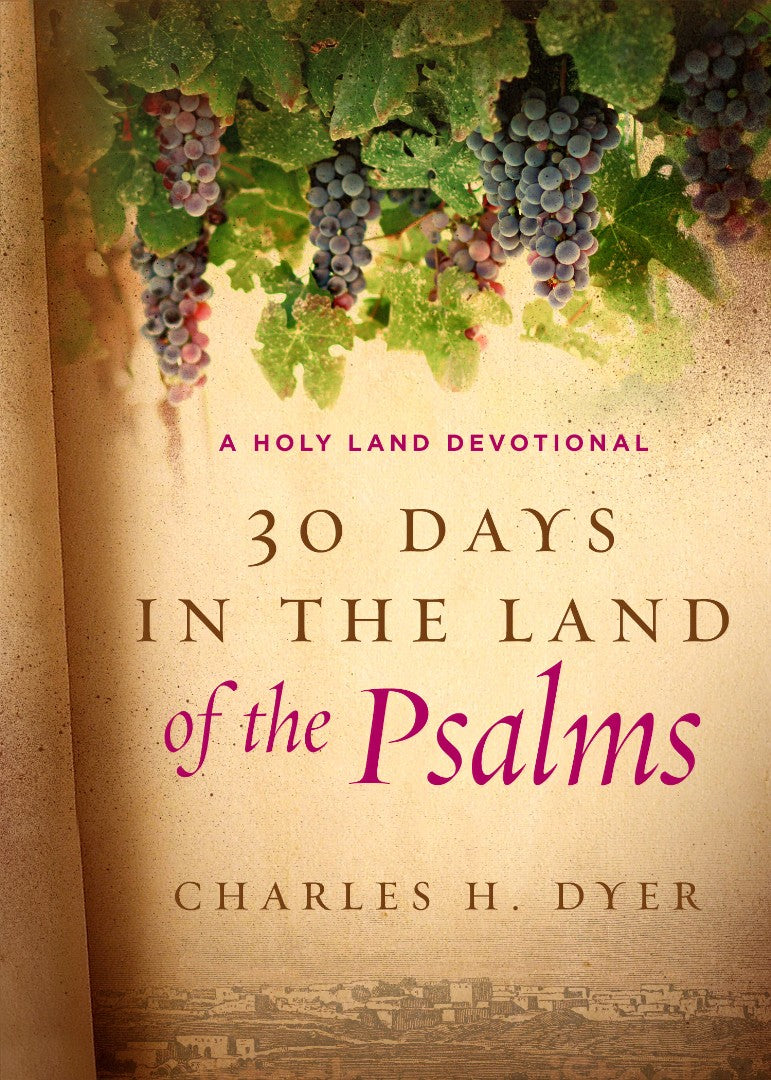 30 Days In The Land Of The Psalms - Re-vived