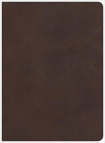 CSB Study Bible, Brown Genuine Leather, Indexed - Re-vived