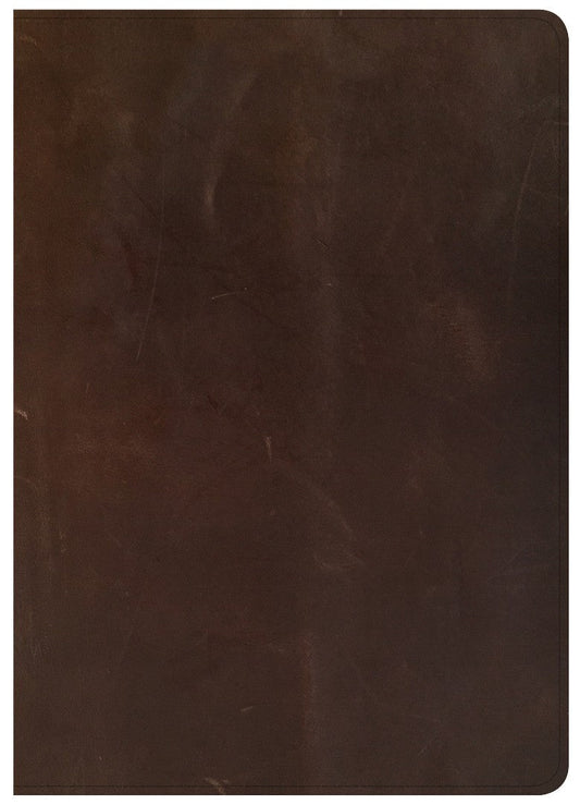 CSB She Reads Truth Bible, Brown Genuine Leather, Indexed - Re-vived