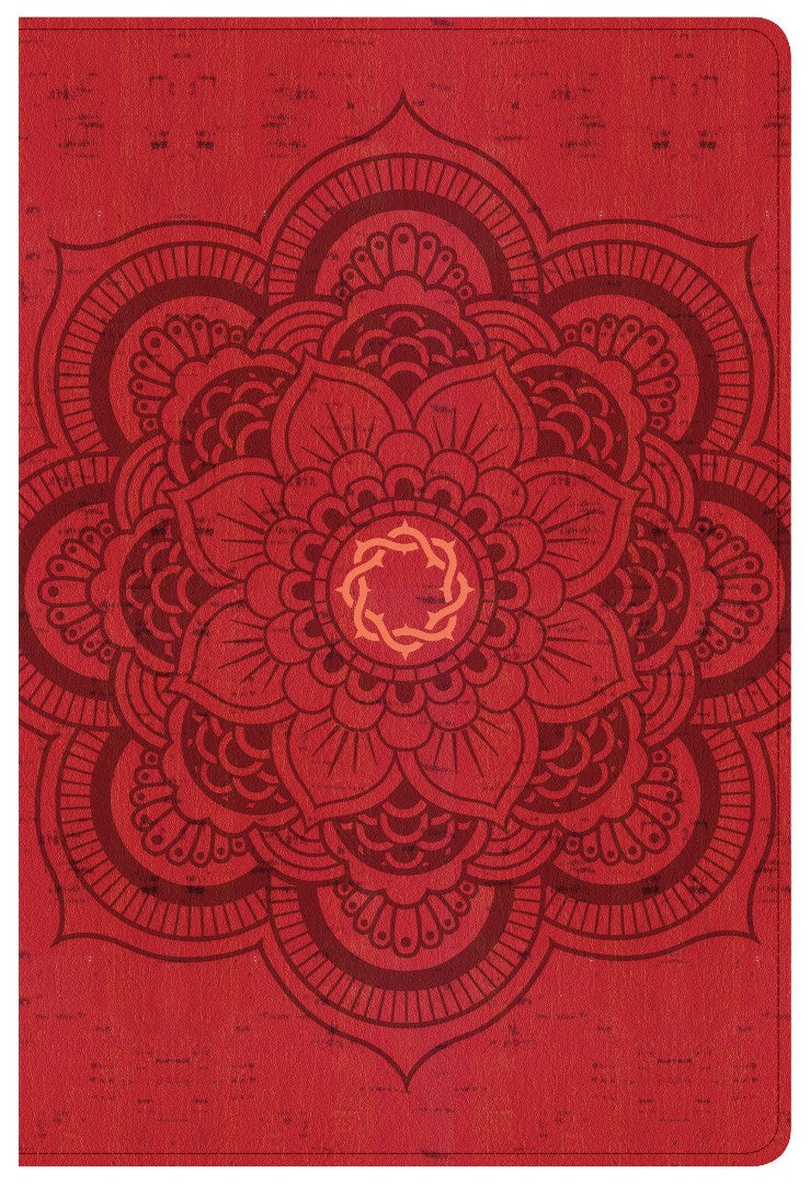 CSB Essential Teen Study Bible, Red Flower Cork Leathertouch - Re-vived