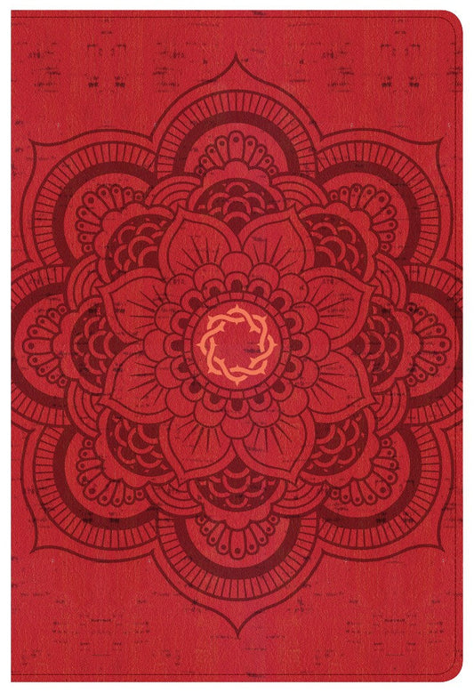 CSB Essential Teen Study Bible, Red Flower Cork Leathertouch - Re-vived