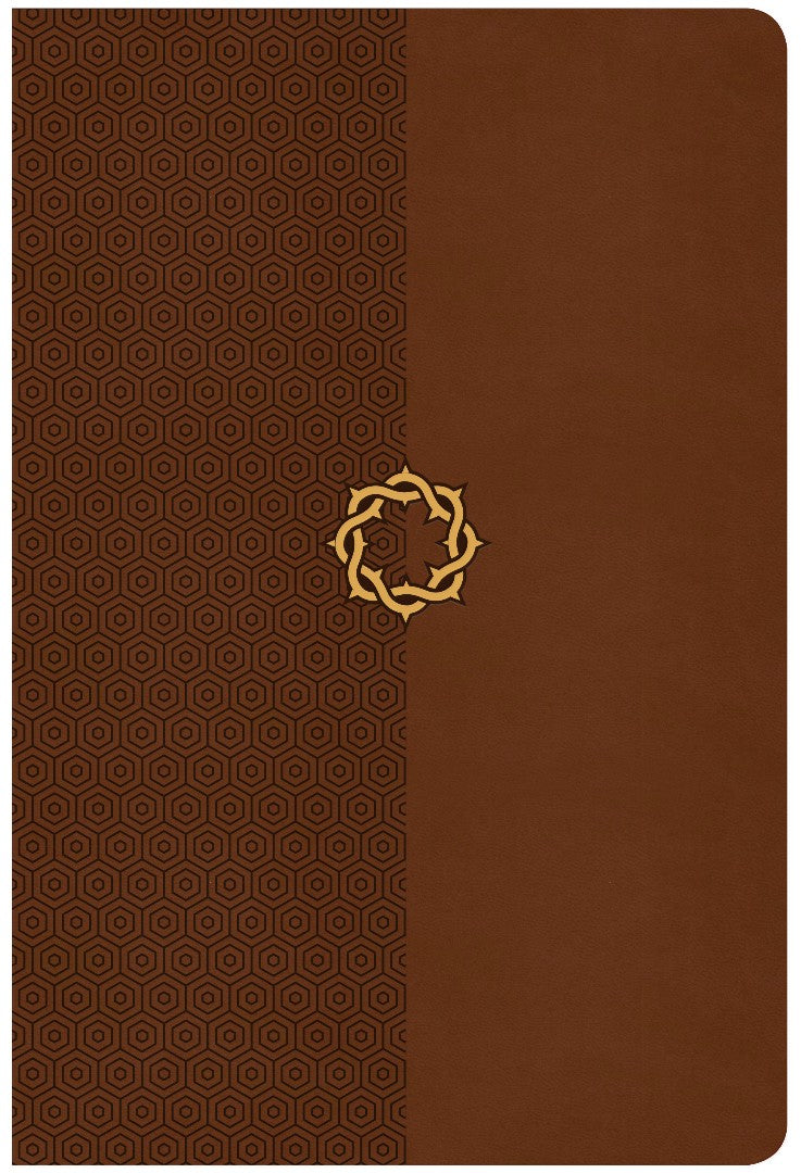 CSB Essential Teen Study Bible, Walnut Leathertouch - Re-vived