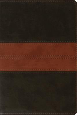 ESV Personal Reference Bible TruTone, Deep Brown/Tan - Re-vived