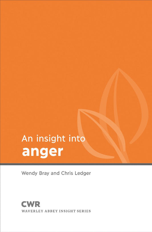Insight into Anger - Re-vived