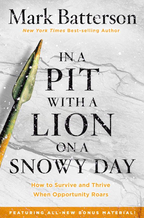 In a Pit With a Lion on a Snowy Day - Re-vived