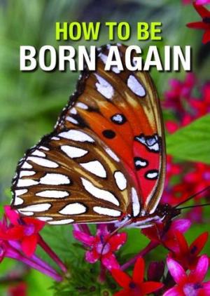 How to be Born Again Tracts (Pack of 50) - Re-vived