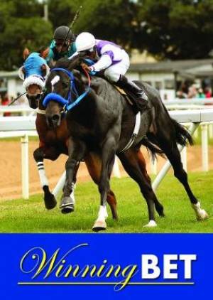 The Winning Bet Tracts (Pack of 50) - Re-vived
