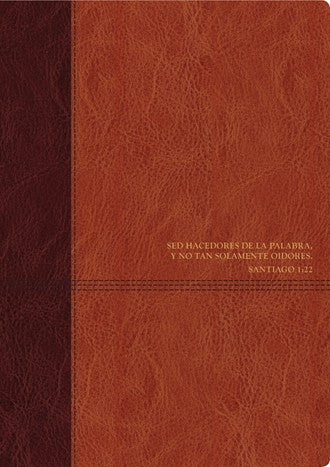 Biblia de estudio del diario vivir RVR60, DuoTono - Re-vived