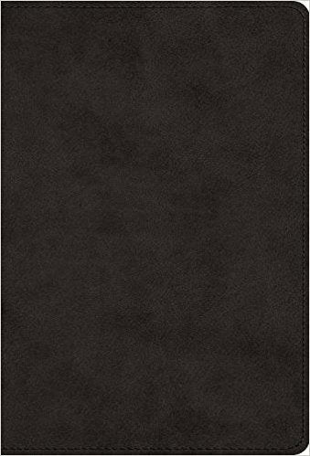 The Greek New Testament, Produced at Tyndale House, Cambridg - Re-vived