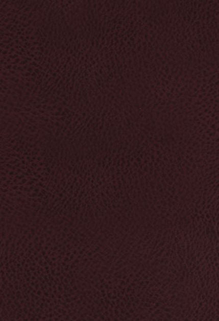 KJV Study Bible, The, Indexed, Full-Color Ed. - Re-vived