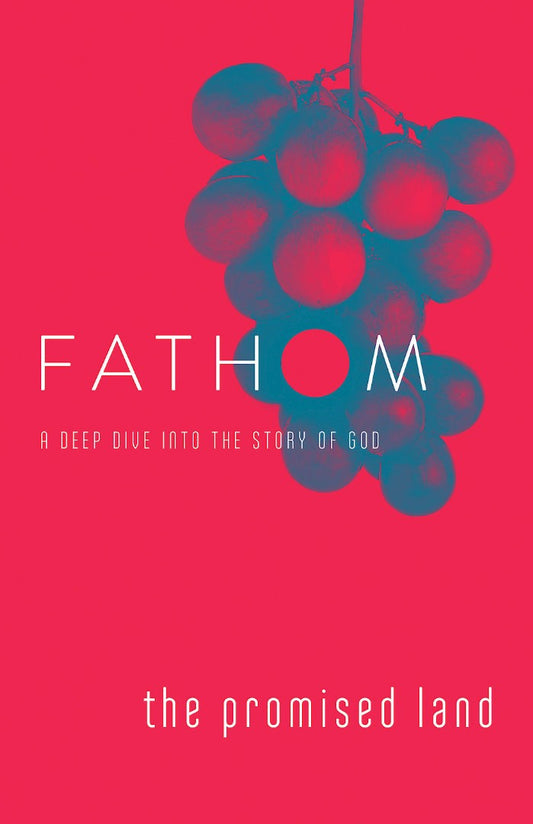 Fathom Bible Studies: The Promised Land Student Journal - Re-vived