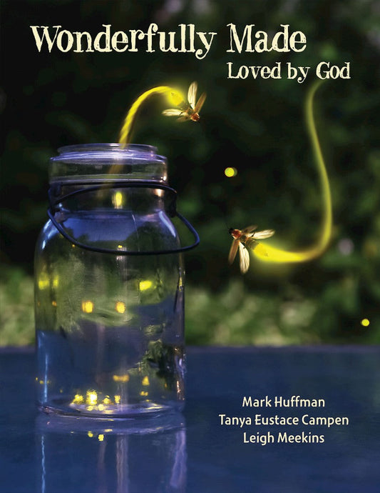 Wonderfully Made Participant Workbook - Re-vived