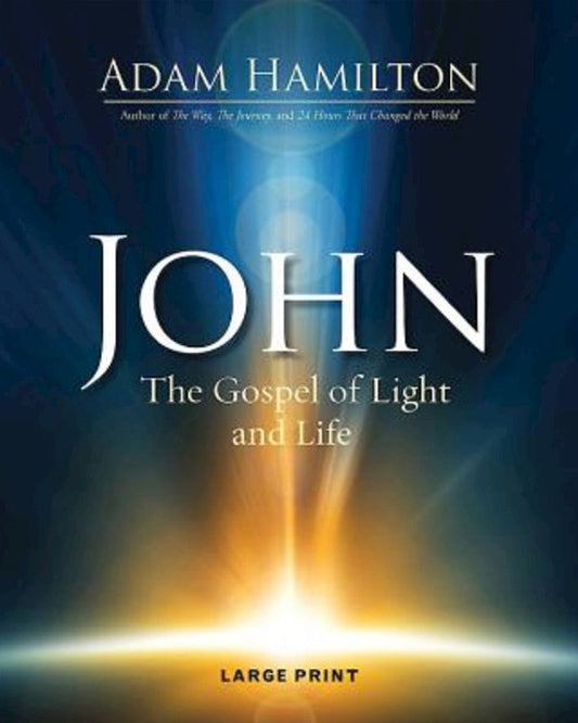 John [Large Print] - Re-vived