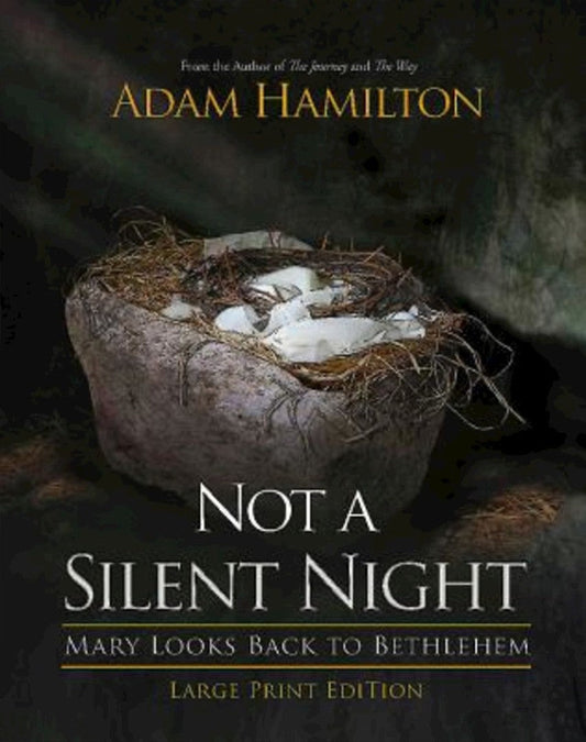 Not a Silent Night [Large Print] - Re-vived