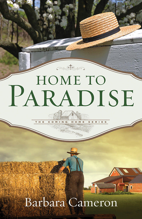 Home to Paradise - Re-vived