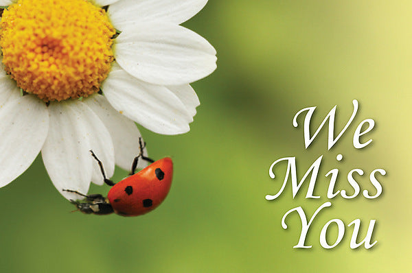 We Miss You Ladybug Postcard (Pkg of 25) - Re-vived