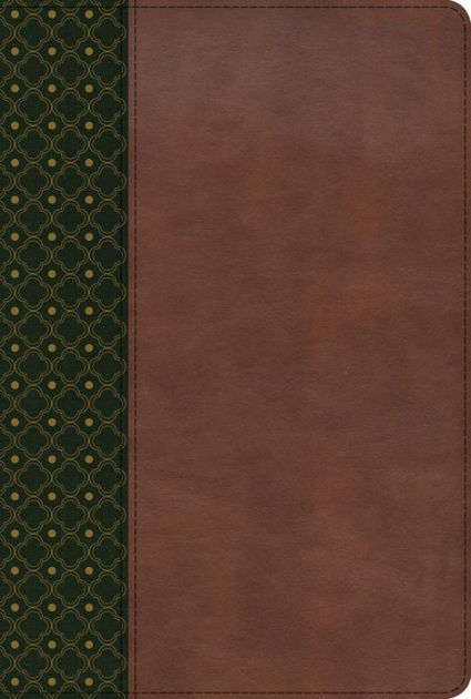 RVR 1960 Biblia de Estudio Scofield, verde oscuro/castaño sí - Re-vived