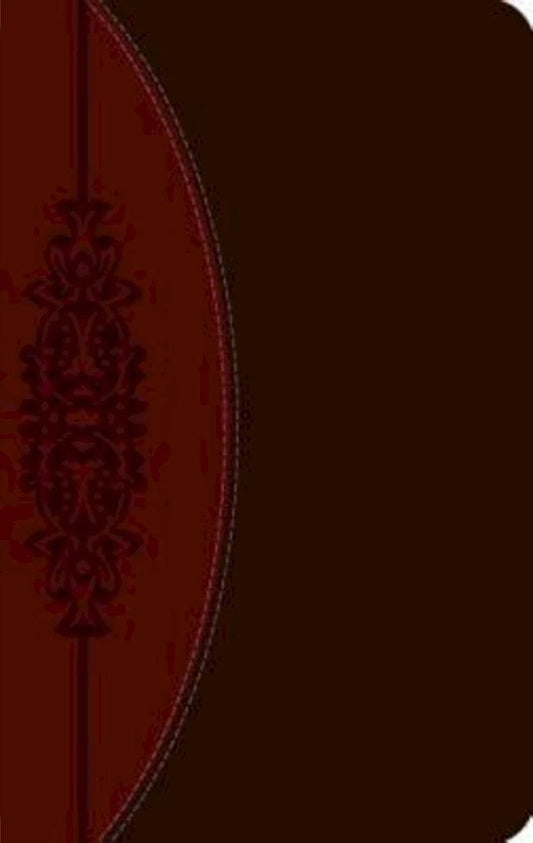 CEB Wesley Study Bible, DecoTone - Re-vived