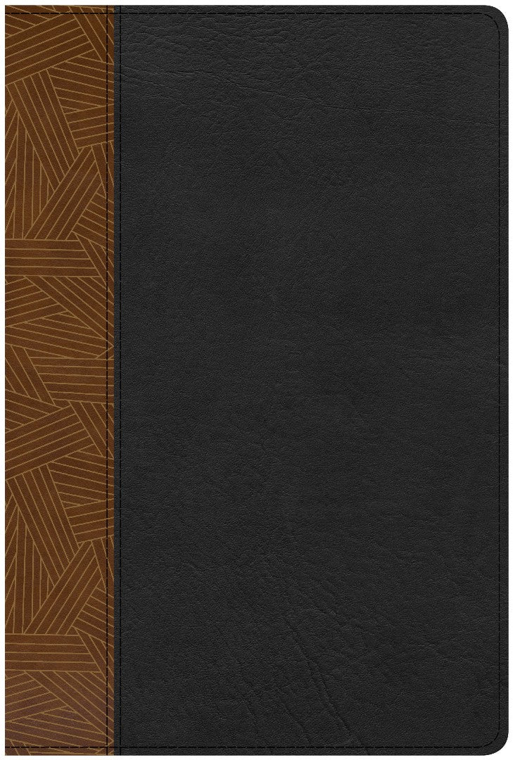 CSB Rainbow Study Bible, Black/Tan - Re-vived