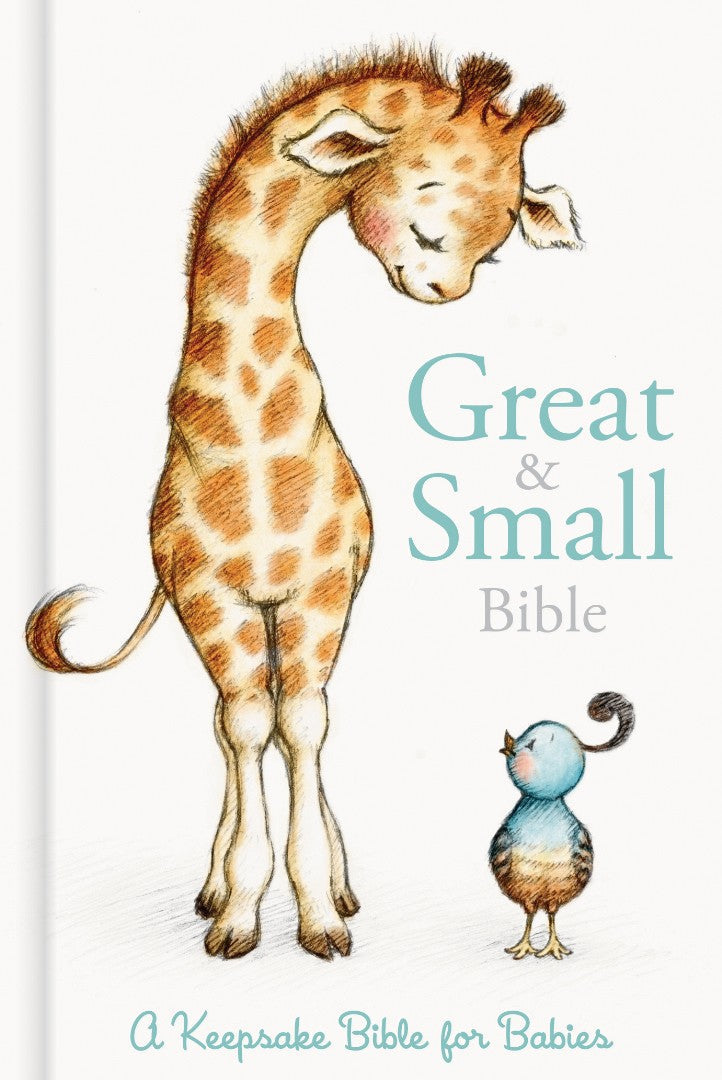 CSB Great and Small Bible (boxed) - Re-vived