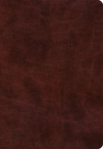 ESV Super Giant Print Bible TruTone, Burgundy - Re-vived