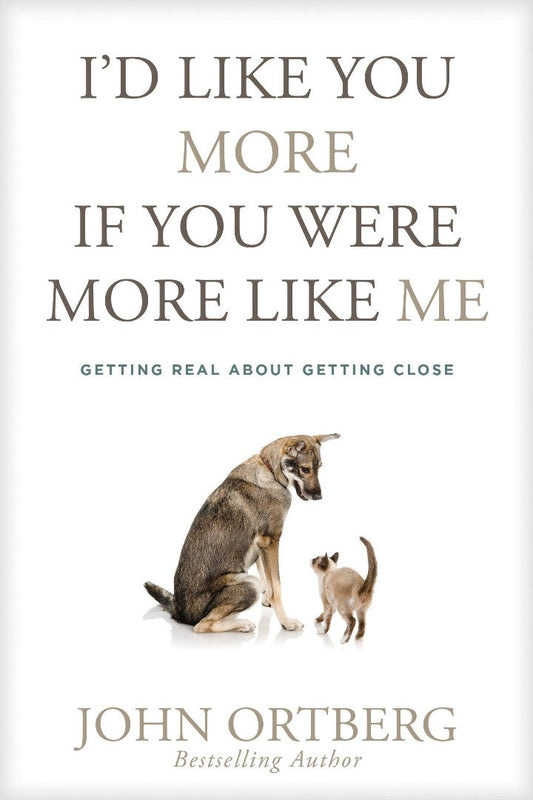 I'd Like You More If You Were More Like Me - Re-vived