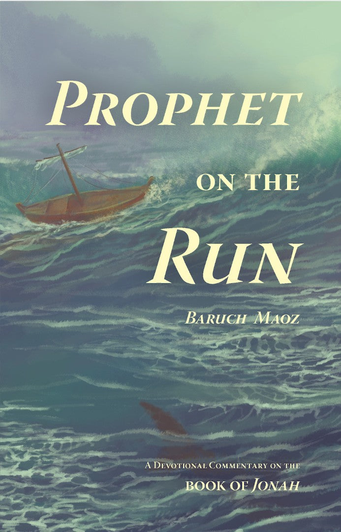 Prophet On The Run - Re-vived