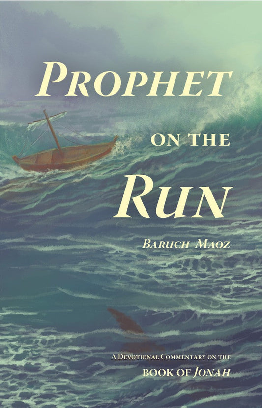 Prophet On The Run - Re-vived