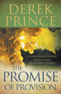 The Promise Of Provision - Re-vived