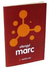 Beibl.net Gospel of Mark (10 pack) - Re-vived