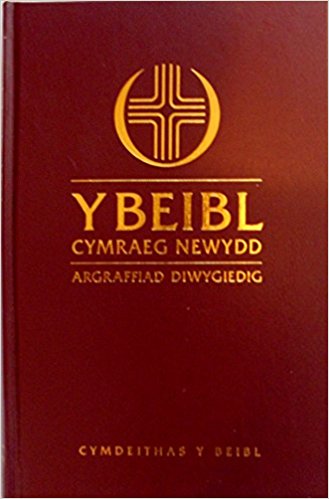 Beibl Cymraeg Newydd Large Print Welsh - Re-vived