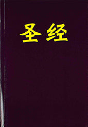 Chinese Union New Punctuation Bible - Re-vived